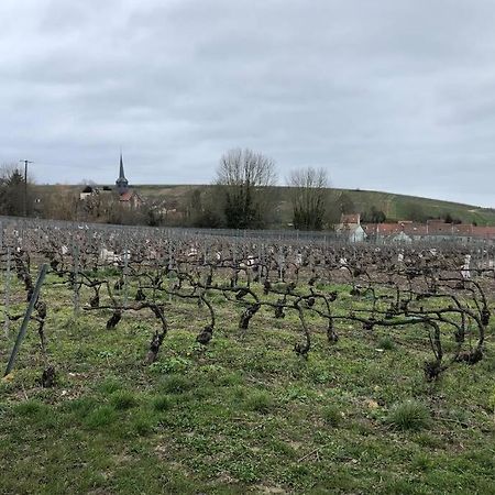 Le Petit Ecrin Champenois Lejlighed Étoges Eksteriør billede