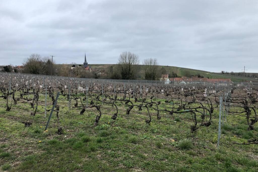 Le Petit Ecrin Champenois Lejlighed Étoges Eksteriør billede